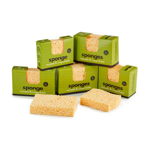sponges small 2 pack