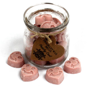 soywax melts jar peachy cool