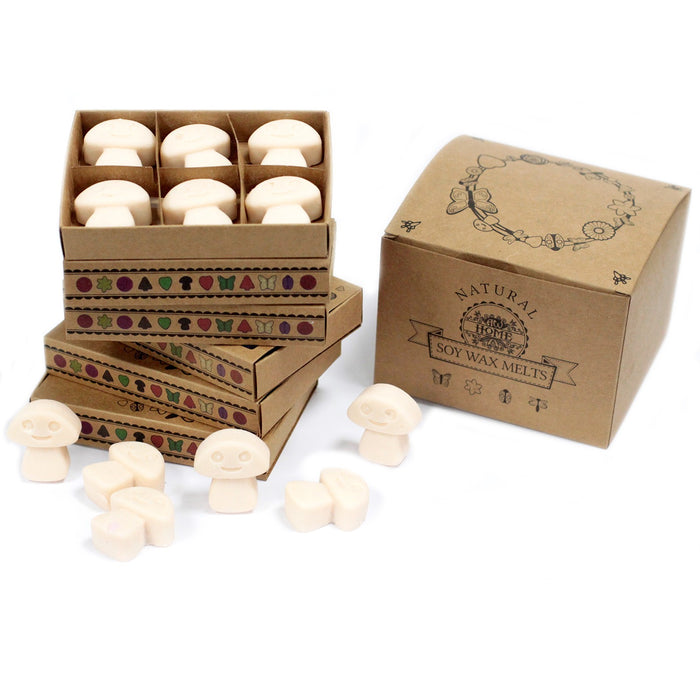 Box of 6 Wax Melts - Vanilla Nutmeg