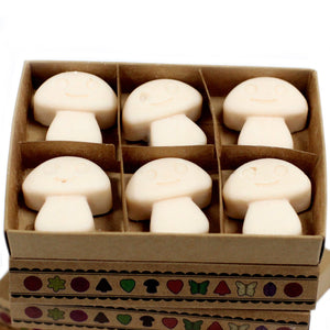 box of 6 wax melts vanilla nutmeg