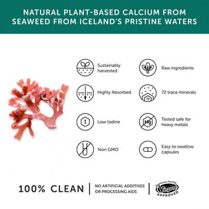 calcium from pure calcified seaweed 60s