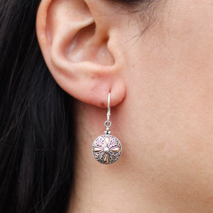 silver gold earring classic round