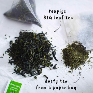 Teapigs Mao Feng Green Tea 40 Tea Temples