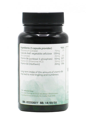 gandg-vitamins-vitamin-b6-complex-30s