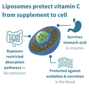 igennus-liposomal-vitamin-c-1000mg-and-zinc-450ml