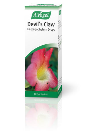 A Vogel (BioForce) Devil's Claw Harpagophytum Drops 100ml - A Vogel (BioForce)