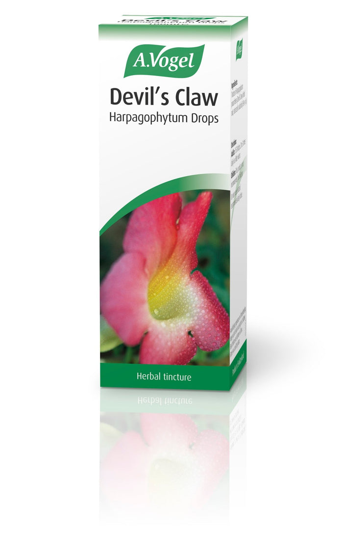 A Vogel (BioForce) Devil's Claw Harpagophytum Drops 100ml