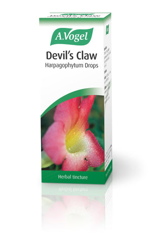 A Vogel (BioForce) Devil's Claw Harpagophytum Drops 50ml - A Vogel (BioForce)