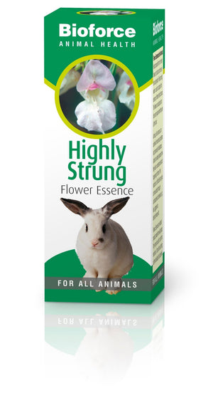 A Vogel (BioForce) Highly Strung Bioforce Animal Health 30ml - A Vogel (BioForce)