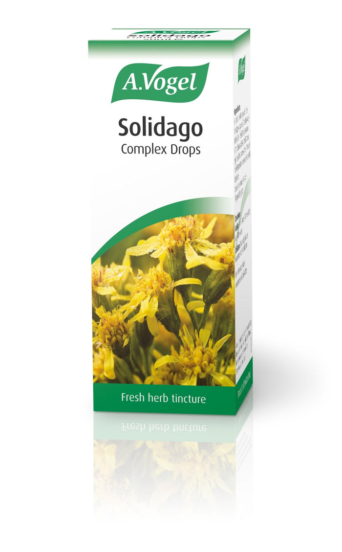 A Vogel (BioForce) Solidago Complex 50ml