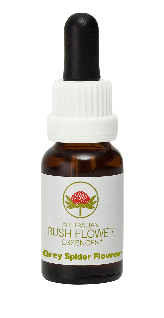 Australian Bush Flower Essences Grey Spider Flower (Stock Bottle) 15ml
