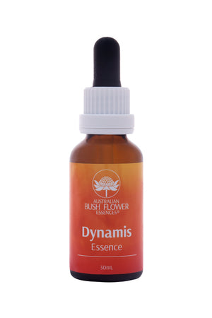 dynamis essence 30ml