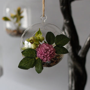 All Glass Terrarium - Globe Hanging Bowl - GTB