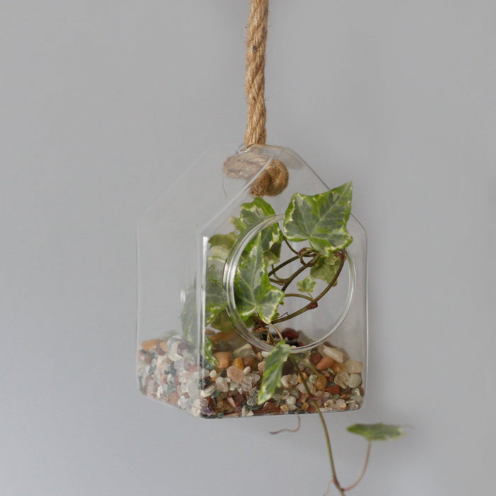 All Glass Terrarium - Hanging House on Rope