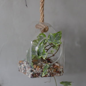 All Glass Terrarium - Hanging House on Rope - GTB