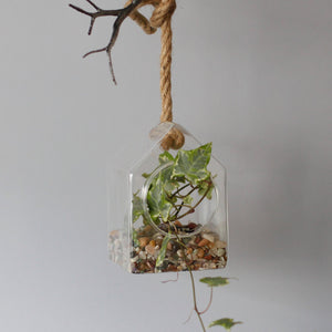 All Glass Terrarium - Hanging House on Rope - GTB