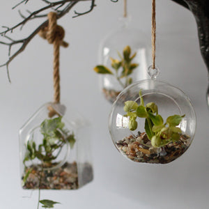 All Glass Terrarium - Hanging House on Rope - GTB