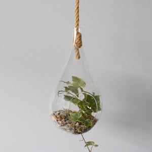 All Glass Terrarium - Hanging Teardrop on Rope - GTB