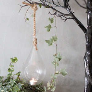 All Glass Terrarium - Hanging Teardrop on Rope - GTB