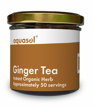 ginger rhizome tea organic 20g