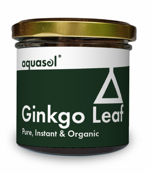 ginkgo leaf tea 100 organic 20g