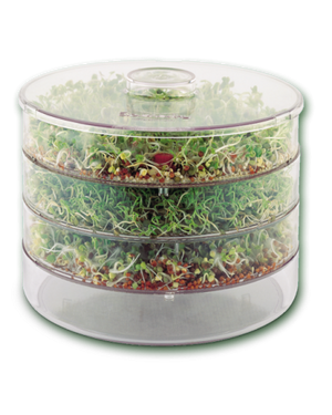 biosnacky germinator seed sprouter large 3 tier