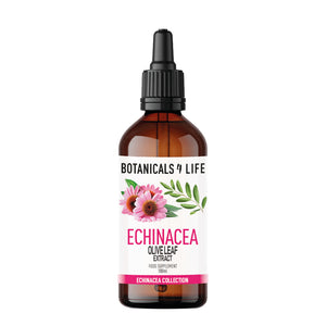 echinacea olive leaf extract 100ml
