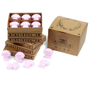 Box of 6 Wax Melts - Ylang Ylang - LWMelt