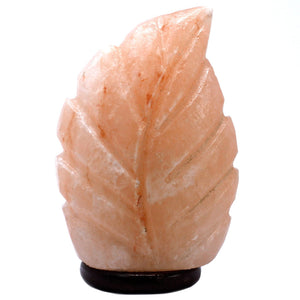 Crafted Salt lamp - Fern 3x5x7 inch - Qsalt