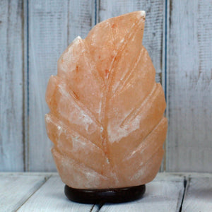 Crafted Salt lamp - Fern 3x5x7 inch - Qsalt