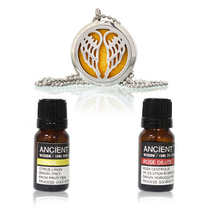 Diffuser Necklace and Essential Oils Set - bundles