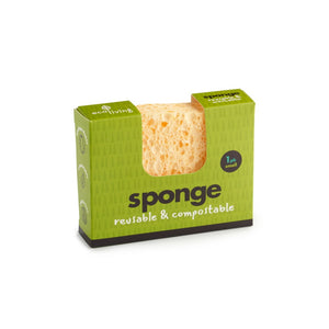 sponge small single