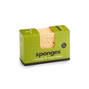 sponges small 2 pack