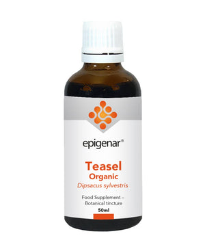 Epigenar Teasel Organic (Tincture) 50ml - Epigenar