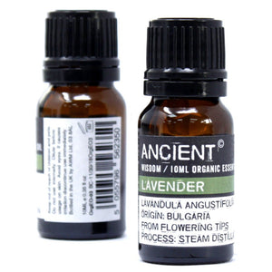 Eucalyptus Organic Essential Oil 10ml - OrgEO