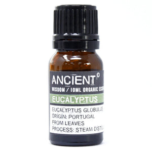 Eucalyptus Organic Essential Oil 10ml - OrgEO