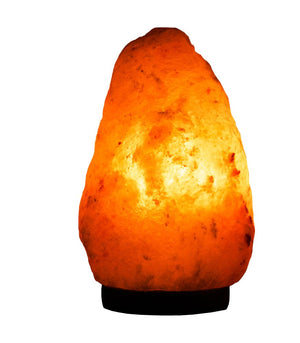 Evolution Natural Crystal Salt Lamp - Small - Evolution