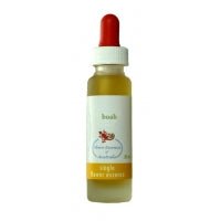 Flower Essences of Australia Boab Single Essence 25ml - Flower Essences of Australia