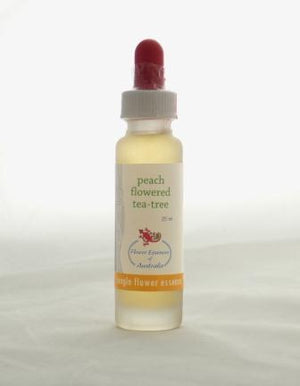 Flower Essences of Australia Peach Flowered Tea Tree 25ml - Single Essence - Flower Essences of Australia