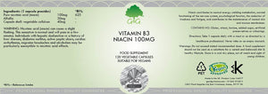 vitamin b3 niacin 100mg 120s