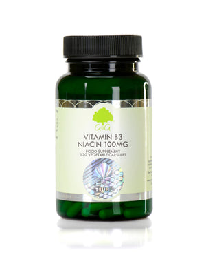 vitamin b3 niacin 100mg 120s