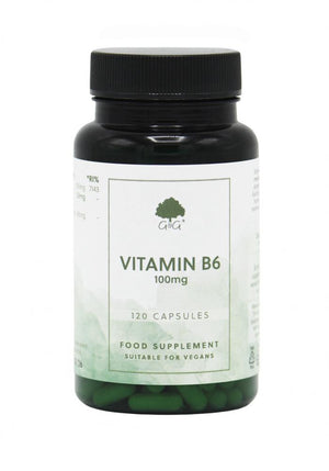 gandg-vitamins-vitamin-b6-100mg-120s