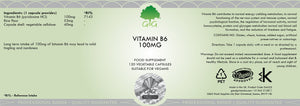 vitamin b6 100mg pyridoxine hcl 120s