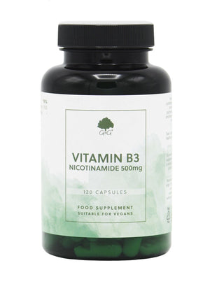 gandg-vitamins-vitamin-b3-nicotinamide-500mg-120s