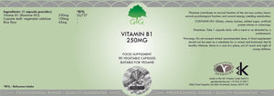 G&G Vitamins Vitamin B1 250mg 90's - G&G Vitamins