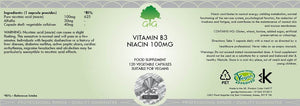 G&G Vitamins Vitamin B3 Niacin 100mg 120's - G&G Vitamins