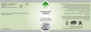 G&G Vitamins Vitamin B6 100mg (Pyridoxine HCL) 120's - G&G Vitamins