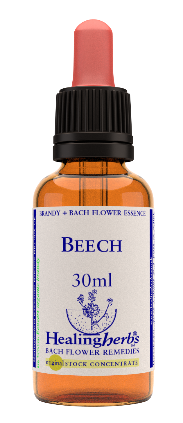 Healing Herbs Ltd Beech 30ml
