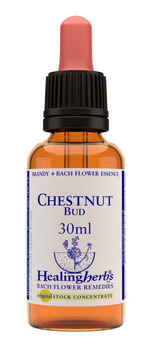 chestnut bud 30ml