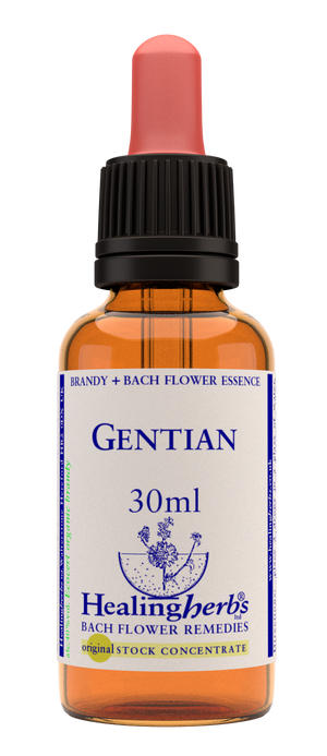 gentian 30ml